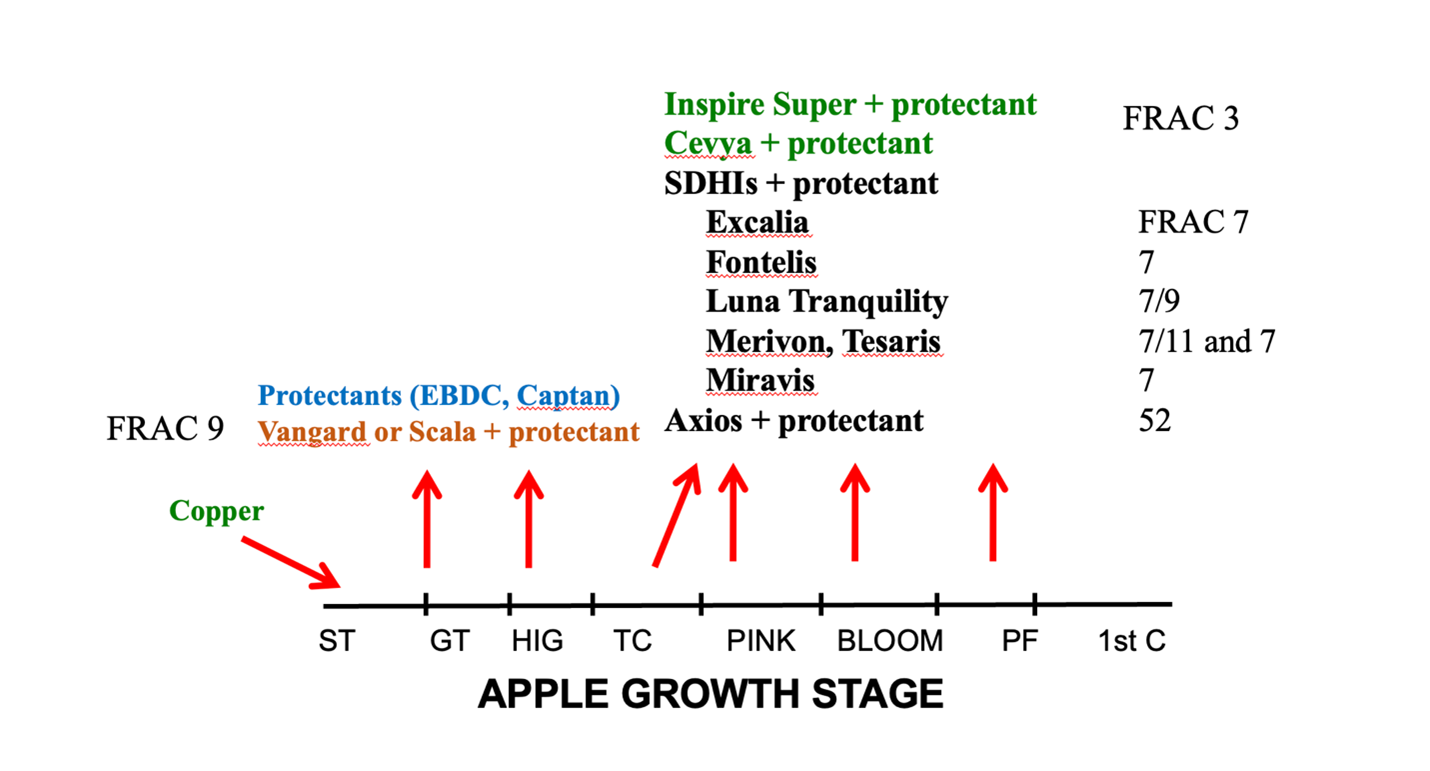 A chart showing which fungicides to use during certain growth stages of apple.